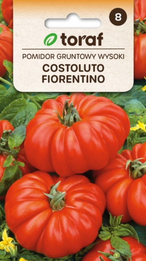 Tomat Costoluto Fiorentino