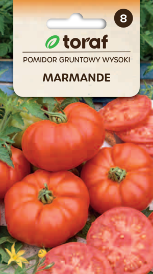Tomat Marmande
