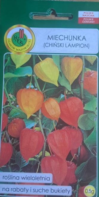 Harilik füüsal hiina latern