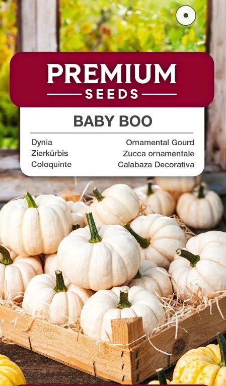 Dekoratiivkõrvits Baby Boo