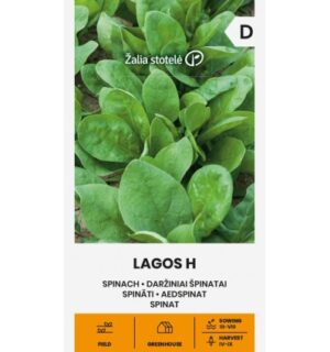 Aedspinat Lagos