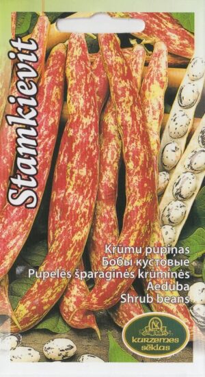 Aeduba Stamkievit