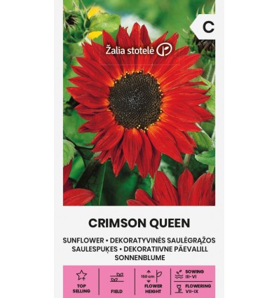 Päevalill Crimson Queen