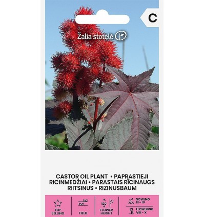 Riitsinus tumeda leheline