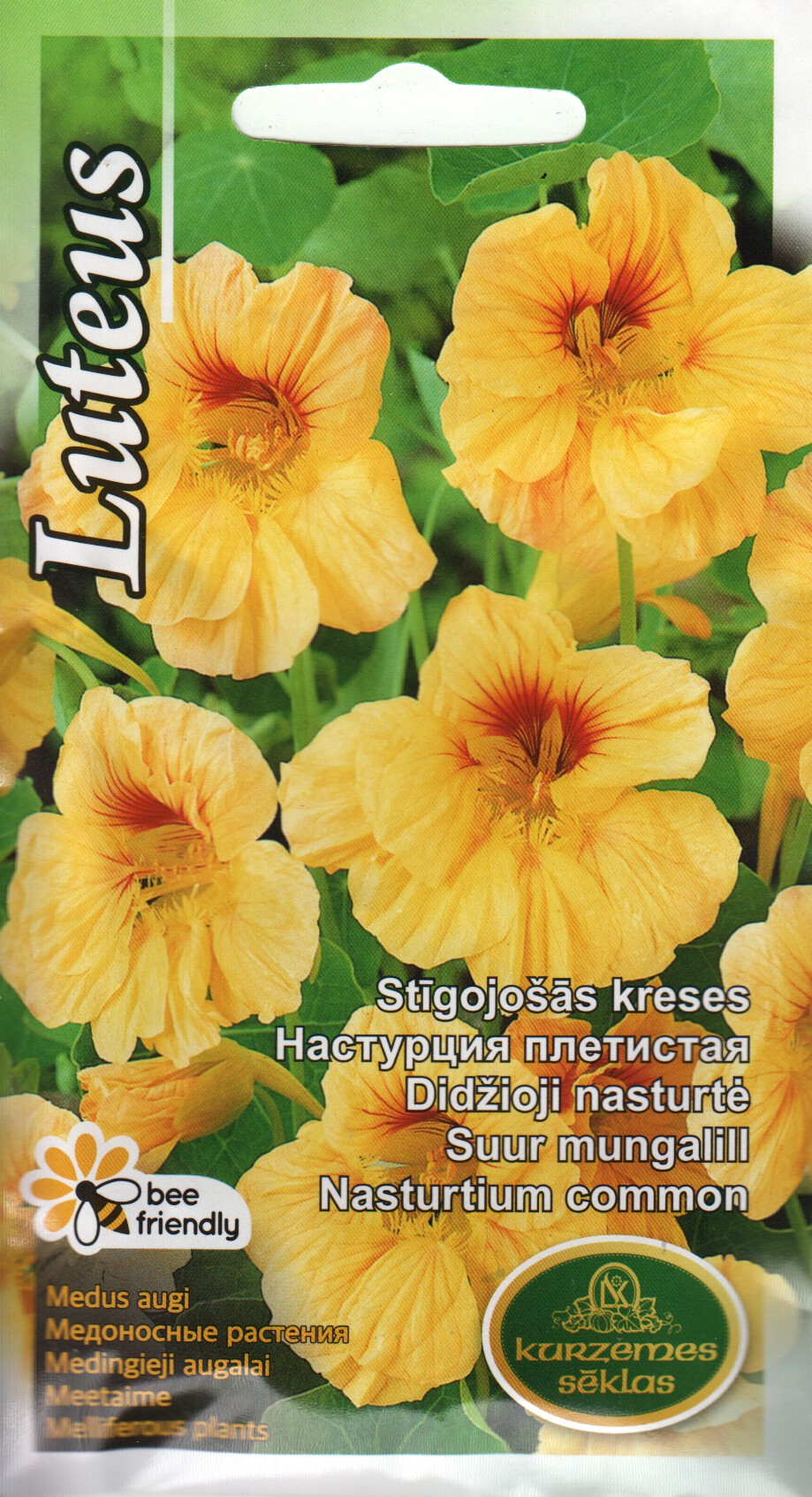 Suur mungalill Luteus