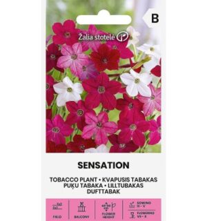 Tubakataim Sensation segu