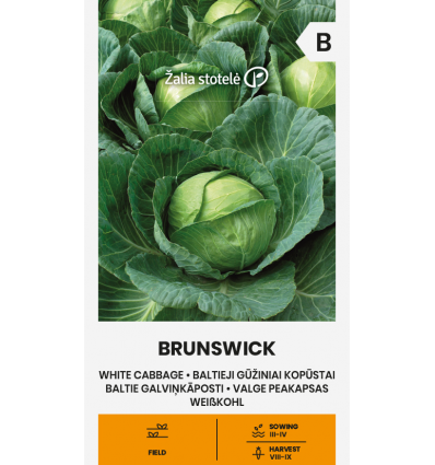 Valge peakapsas Brunswick