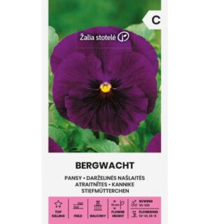 Võõrasema Bergwacht