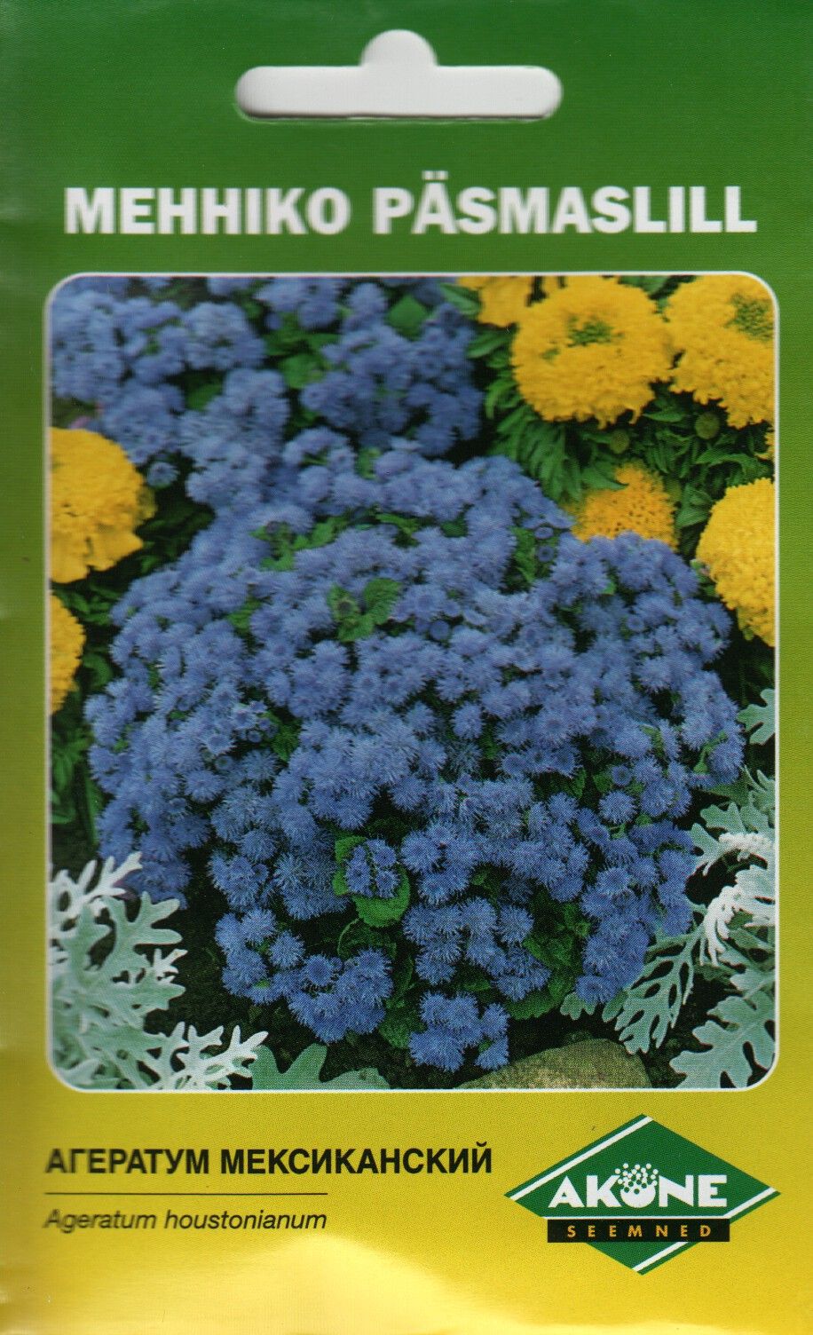 Mehhiko päsmaslill Blue Ball