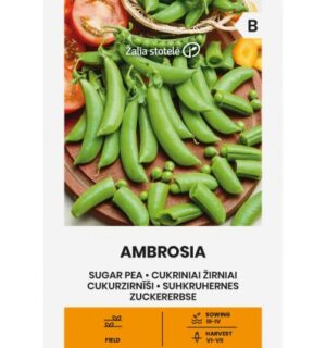 suhkruhernes ambrosia
