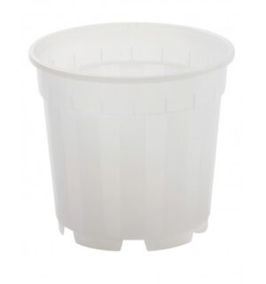 Orhidee pott 13cm