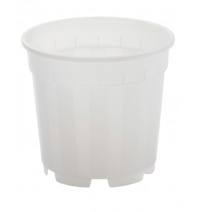 Orhidee pott 13cm