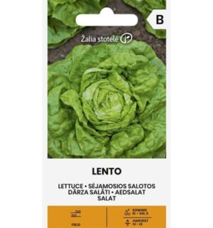 Aedsalat 'Lento'