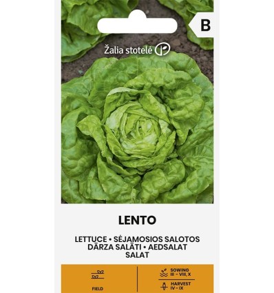 Aedsalat 'Lento'