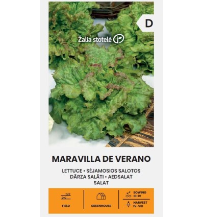 Aedsalat Maravilla De Verano