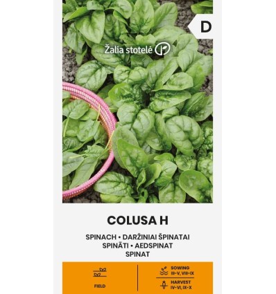 Aedspinat 'Colusa H'