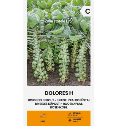 Rooskapsas Brassica oleracea Dolores H seemnete pakend