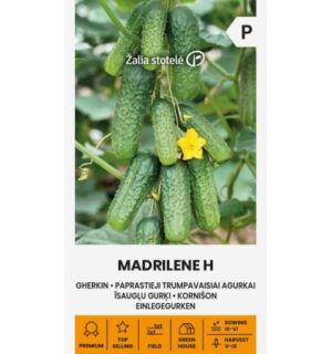 Kurk Madrilene H seemnete pakend