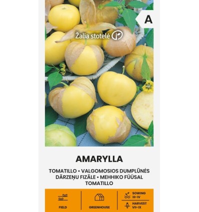 Mehhiko füüsal-Tomatillo 'Amarylla'