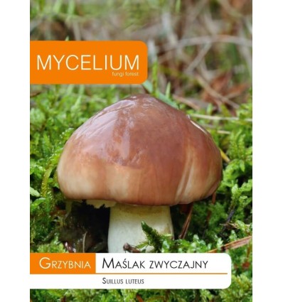 Võitatik Suillus luteus mütseeli pakend