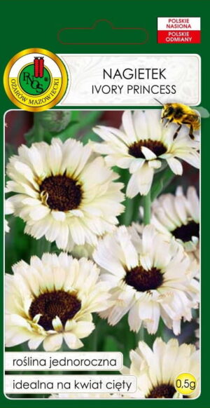 Harilik saialill Calendula officinalis Ivory Princess seemnete pakend