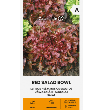 Salat Red Salad Bowl*7