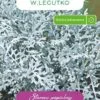 Viltleht tuhk-ristrohi Mrozy Jacobaea maritima seemnete pakend hõbehallide pitssõrmiste lehtedega