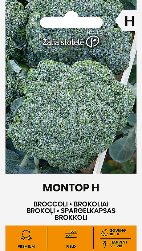 Brokkoli Montop H