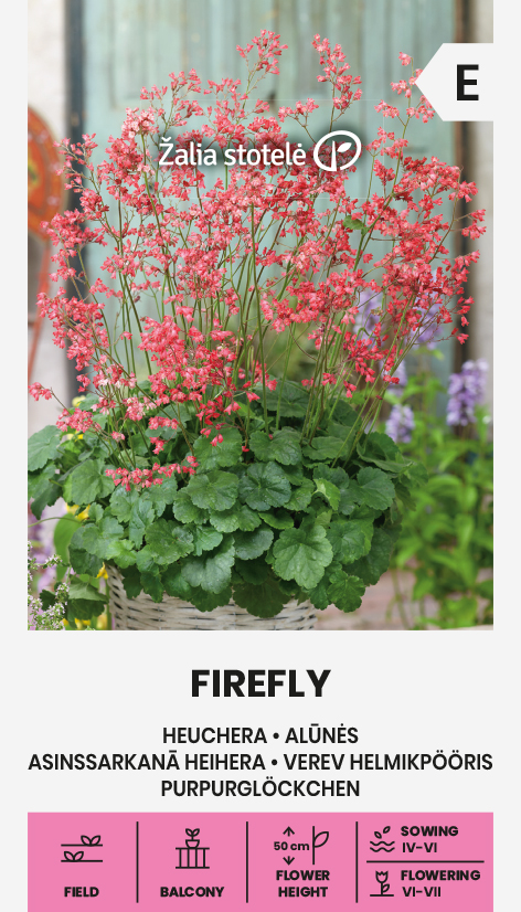 Verev helmikpööris Firefly õitsev püsik