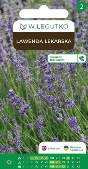 Tähkja lavendli Lavandula angustifolia seemnete pakend õitseva violetse lavendlipõlluga