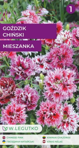 Hiina nelk Dianthus chinensis seemnete pakend pikkade narmastega roosades ja punastes toonides õitega