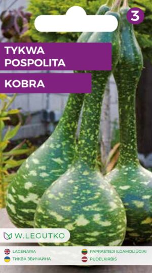 Harilik pudelkorvits Tykwa Pospolita Kobra seemnete pakend pikkade kobrakujuliste korvitsatega