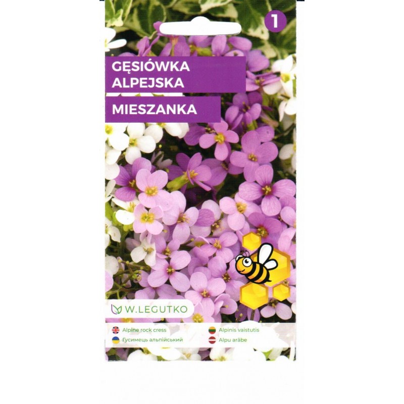 Alpi hanerohi Arabis alpina seemnete pakend valgete ja roosakaspurpursete oitega