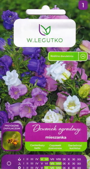 Aedkellukas Campanula medium seemnete pakend erinevat varvi bell-shaped oitega