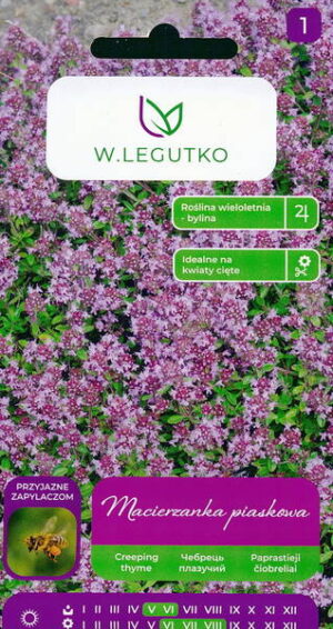 Nomm liivatee Thymus serpyllum seemnete pakend roosakaslillade oitega