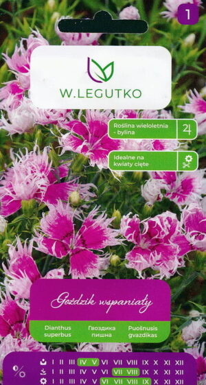 Aasnelk ehk Dianthus superbus lilleseemnete pakend