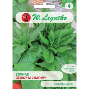 Spinati Olbrzym Zimowy seemnete pakend lopsakate roheliste lehtedega