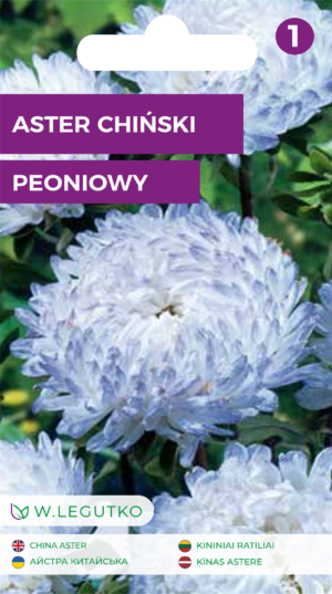 Hiina aster Peoniowy seemnete pakend suurte pojengitaoliste helesiniste oitega