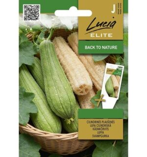 Käsnkõrvitsa luffa seemnepakend roheliste viljade ja kuivatatud käsnadega