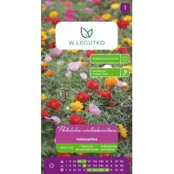 Suureõielise portulaki segu Portulaca grandiflora seemnete pakend mitmevärviliste õitega