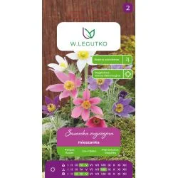 Harilik karukell Pulsatilla vulgaris erinevat vari värvi õitega seemnete pakend