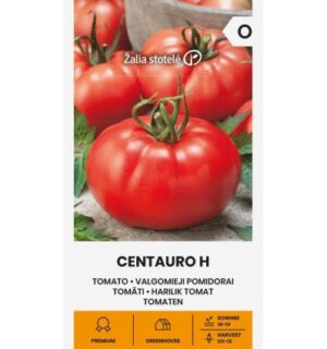 Tomati Centauro H seemnepakend suurte lihavate punaste tomatitega