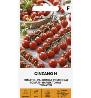 Tomati Cinzano H seemnepakend väikeste punaste kirsstomatite kobaratega