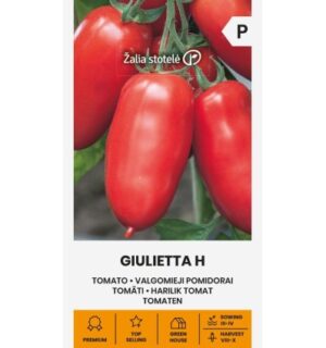 Tomati Giulietta H seemnepakend suurte lihavate piklike punaste tomatitega