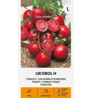 Tomati Likobol H seemnepakend punaste mahlaste viljadega