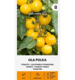 Tomati Ola Polka seemnepakend kollaste ümarate viljadega