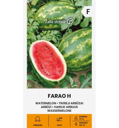 Arbuusi Farao H seemnepakend punase mahlase viljaga