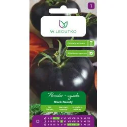 Tomati Black Beauty seemnepakend ebatavaliste tumedate mustjate tomatitega