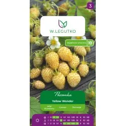 Metsmaasika Yellow Wonder seemnepakend kollaste magusate marjadega